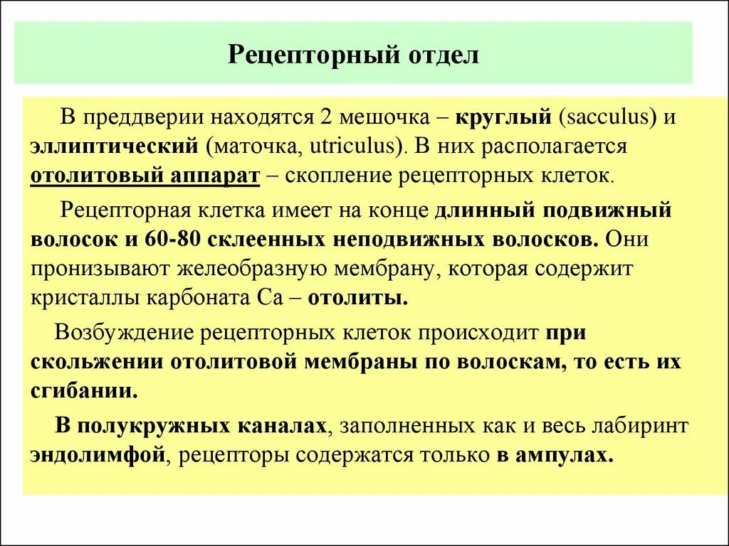 Рецепторный отдел анализаторов. Рецептореы отдел слухового анализатор. Рецепторный отдел слухового анализатора. Функция рецепторного отдела анализатора.