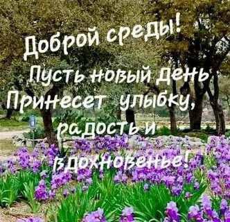 Счастливый среды доброе утро