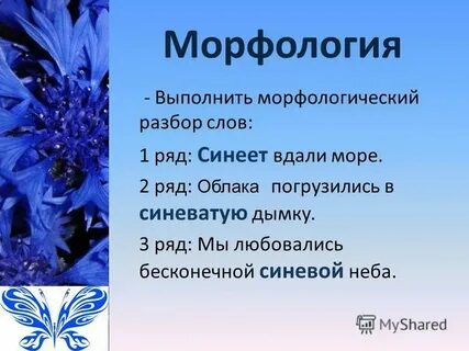 Морфологический слова в небе