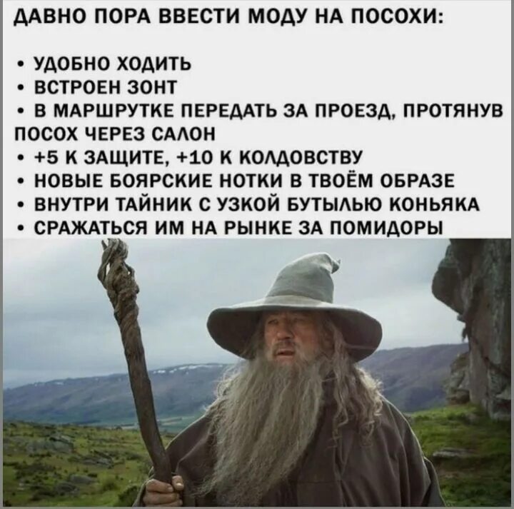 Давно пора барбара книга. Давно пора читать. Давно пора как превратить мечту в жизнь а жизнь в мечту барбара шер. Давно пора барбара книга. Давно пора.