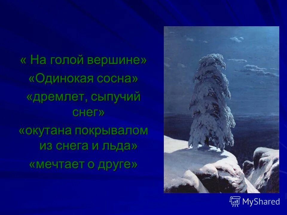 стихотворение лермонтова сосна. сосна дремлет. стихотворение лермонтова на севере диком текст. сосна на утесе. на севере диком лермонтов.