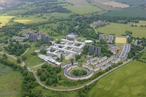 Home university