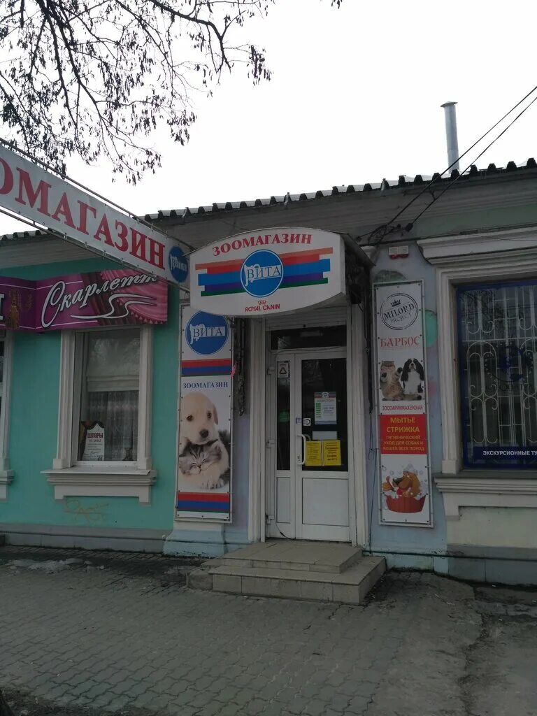 ветеринарная клиника лидер петропавловск-камчатский. ветеринарная клиника в касимове багира. багира новороссийск ветклиника. барнаул ветклиника багира. багира ветеринарная клиника петропавловск-камчатский.