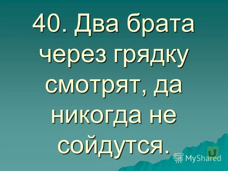 Друзья мальчики. Два брата через грядку смотрят. Два брата через грядку смотрят. Мальчик собирает овощи. Возле грядки две лопатки.