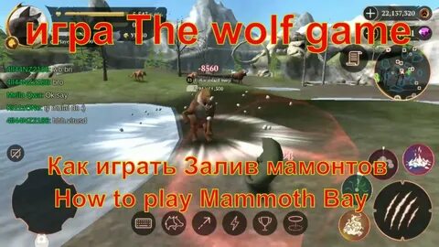 Игры залитый
