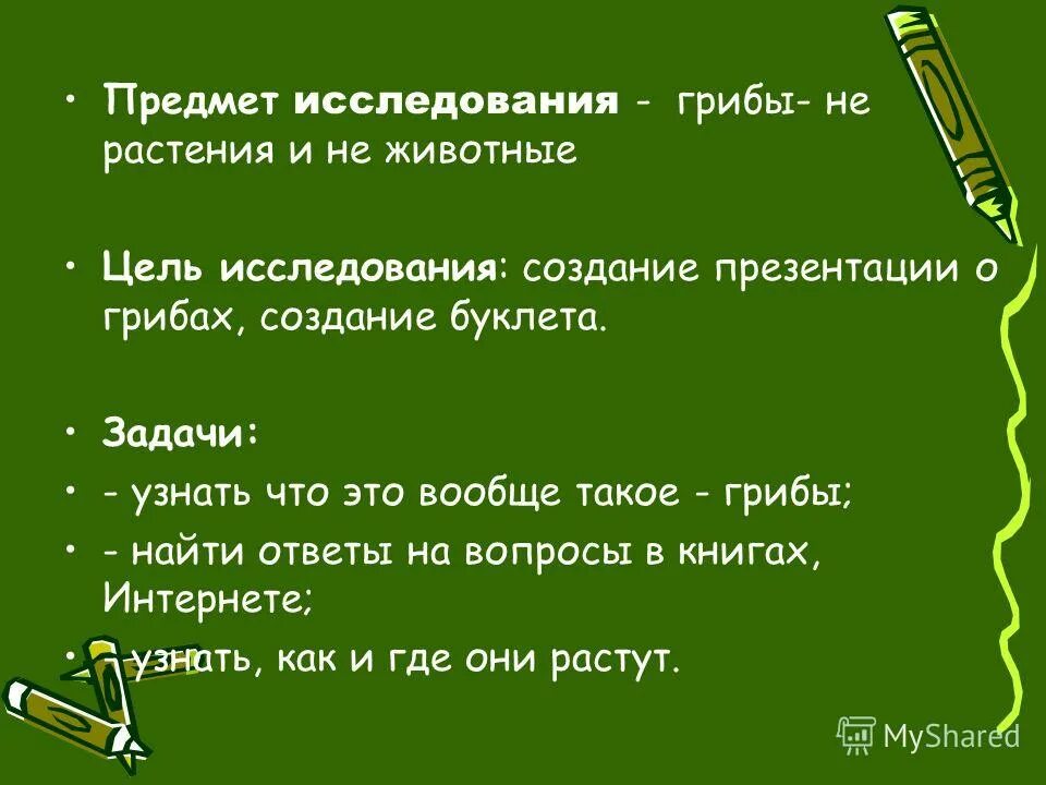 исследовательская работа грибы