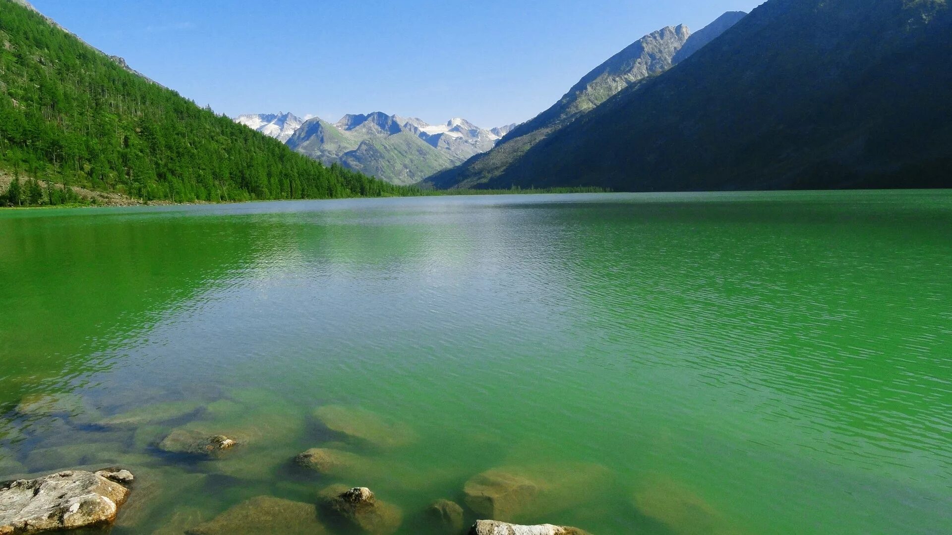 Зеленая вода в озере. Озеро Рица. Озеро Уральская Рица. Грюнер Зее Австрия озеро. Озеро Грин Лейк Турция.