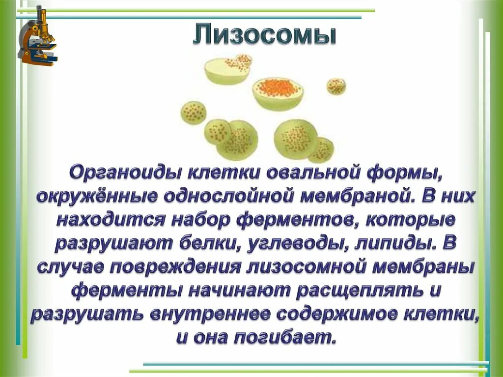 Внутренним содержащим