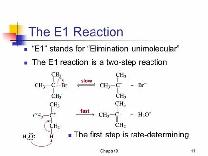 First reaction
