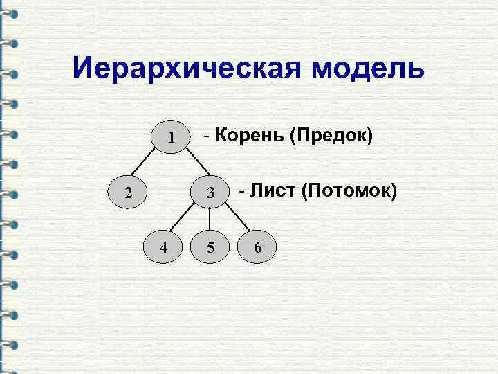 Выберите неправильную пару предок потомок
