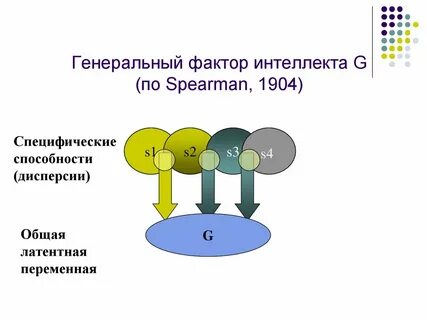 Ген интеллекта