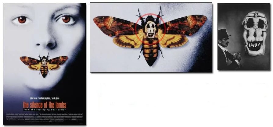 Бабочка мертвая голова живопись. Бабочка мертвая голова на руке. Татуировка мертвая голова. Мёртвая голова бабочка Постер.