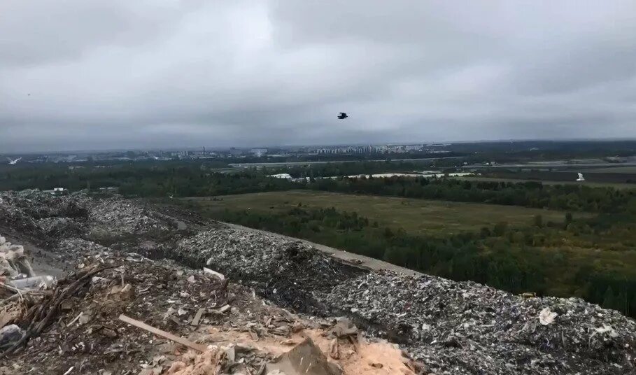 Полигон новый свет эко в гатчинском районе. Тбо новый свет. Полигон новый свет эко в гатчинском районе. Полигон тбо новый свет эко. Полигон тбо новый свет эко.