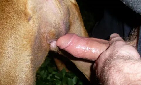 Slideshow guy fucking girl smacks dog with dick.