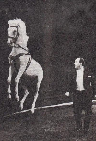 цирковые фамилии. анатолий леонидович дуров. династия филатовых цирковые артисты. воздушные гимнасты цирка ссср. цирковые фамилии.