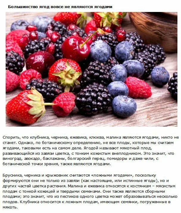 Какие фрукты являются ягодами. Интересные факты про фруктов и. Факты о фруктах. Интересные фрукты и ягоды. Интересные факты о ягодах.