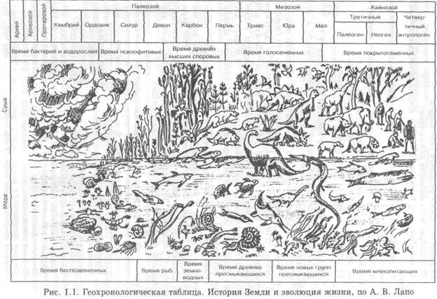 Геохронологическая шкала развития жизни на земле таблица. Геохронологическая история земли основные этапы эволюции.