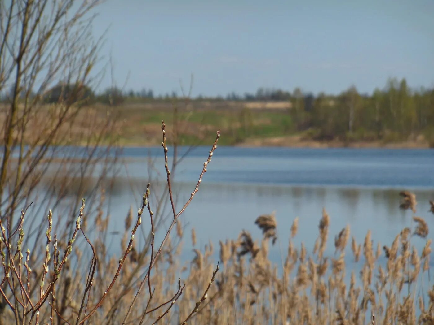 Село верба