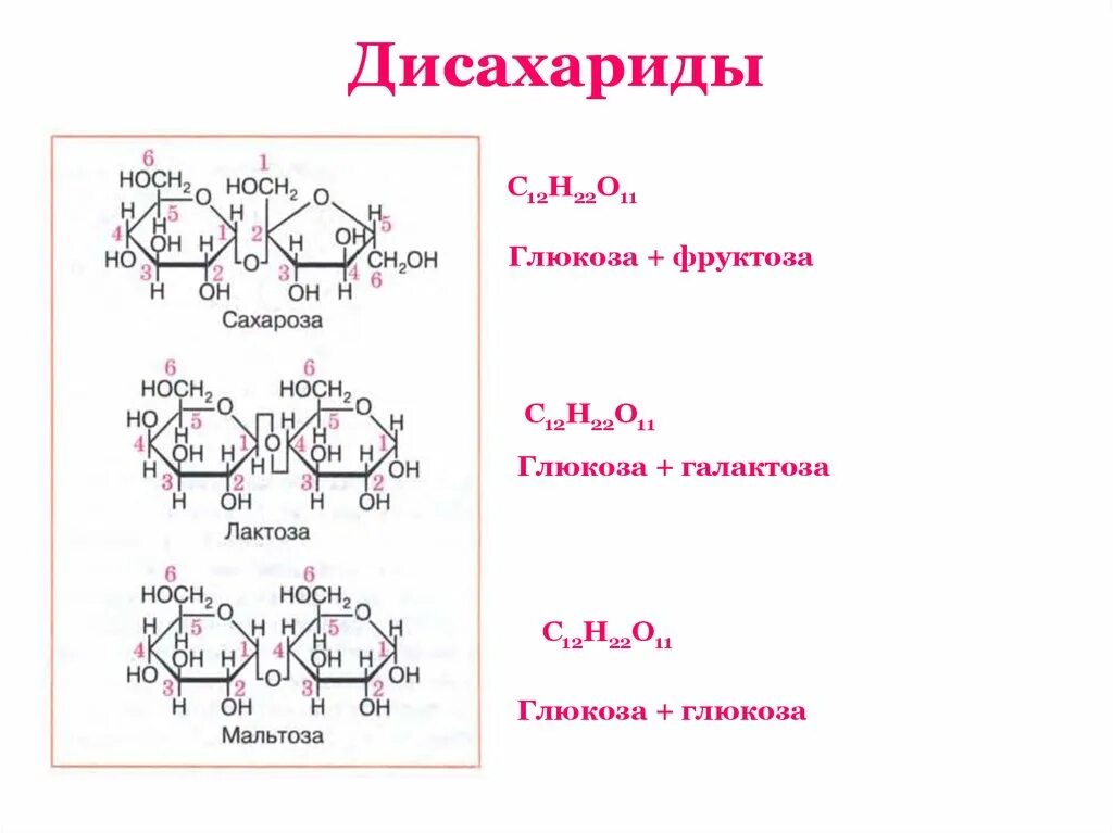 Структурная формула дисахаридов. Дисахариды формула. Дисахариды сахароза лактоза формула. Химическая структура дисахаридов.