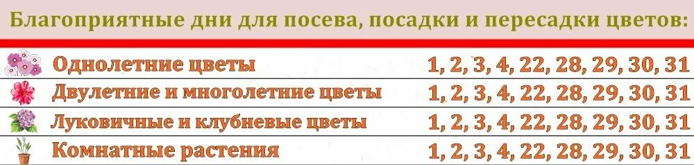 Благоприятные дни для посадки в мае 2023 года. Лунный календарь май 2023 для посева. Благоприятные дни для посадки в мае 2023г. Благоприятные дни для посадки май 2023. Лунный календарь комнатных цветов на апрель 2024