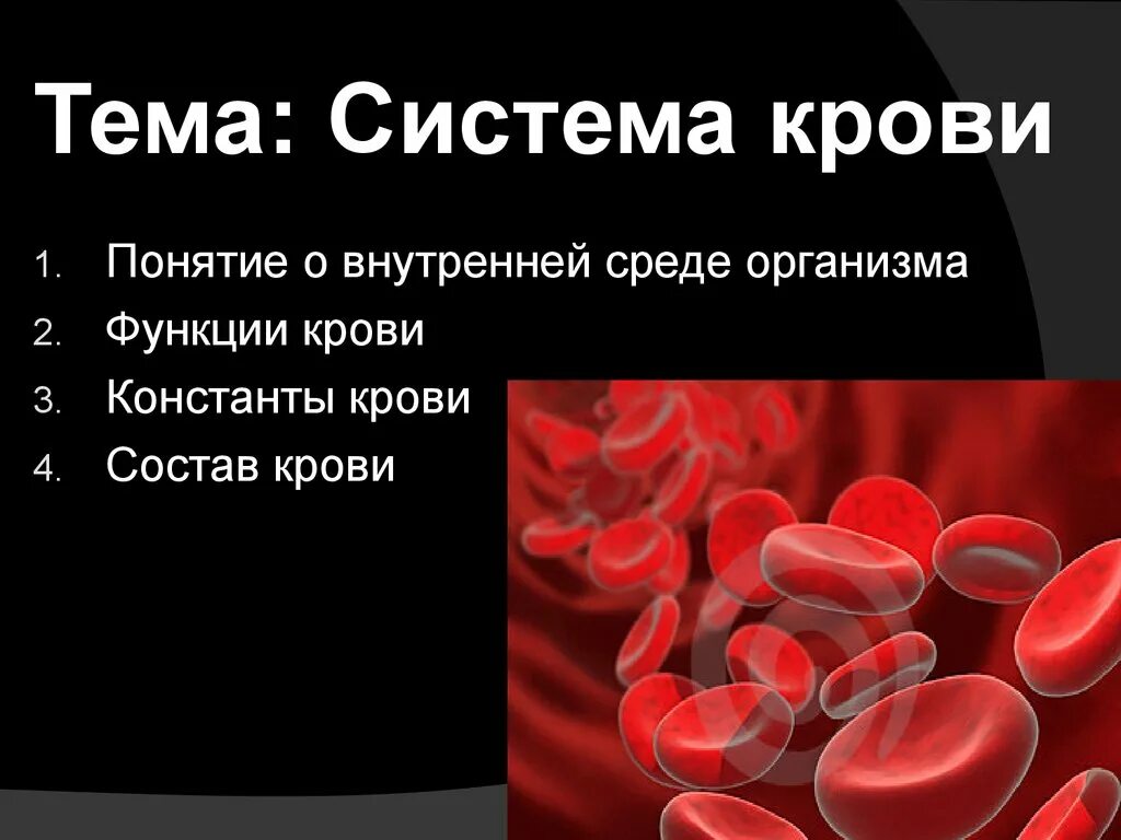 Морфологический состав крови. Понятие о системе крови. Презентация система крови. Кровь понятие.