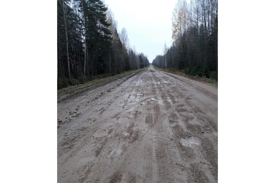 Ягница Череповецкий район. Бровка дороги фото. Ягница Череповецкий район школа. Река Ягница. Прогноз череповецкий район