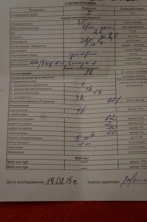 Гемотест сдать спермограмму