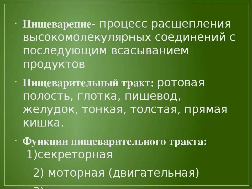 Расщепление латынь. Процесс пищеварения. Процессы расщепления. Расщепительный процесс расщепления. Расщепление в процессе пищеварение.