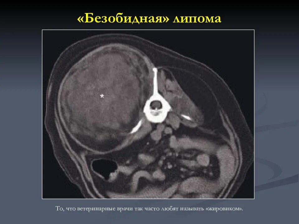 Военно-медицинская академия им С М Кирова Кафедра рентгенологии