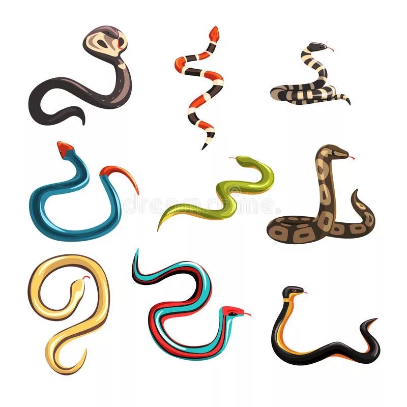 Змея на других языках. Змея мультяшная. Змея в разных позах. Змеи разных форм. Змея с разных ракурсов.