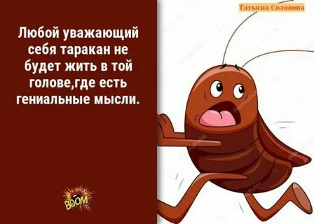 Таракан с тюльпанами картинки