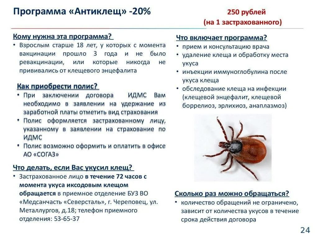 Профилактика клещевых инфекций. Памятки о клещевом вирусном энцефалите. Если укусил клещ делают ли прививку. Если укусил клещ делают ли прививку. Если укусил клещ делают ли прививку.