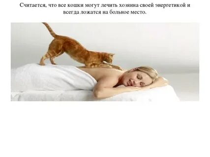Ложись на место