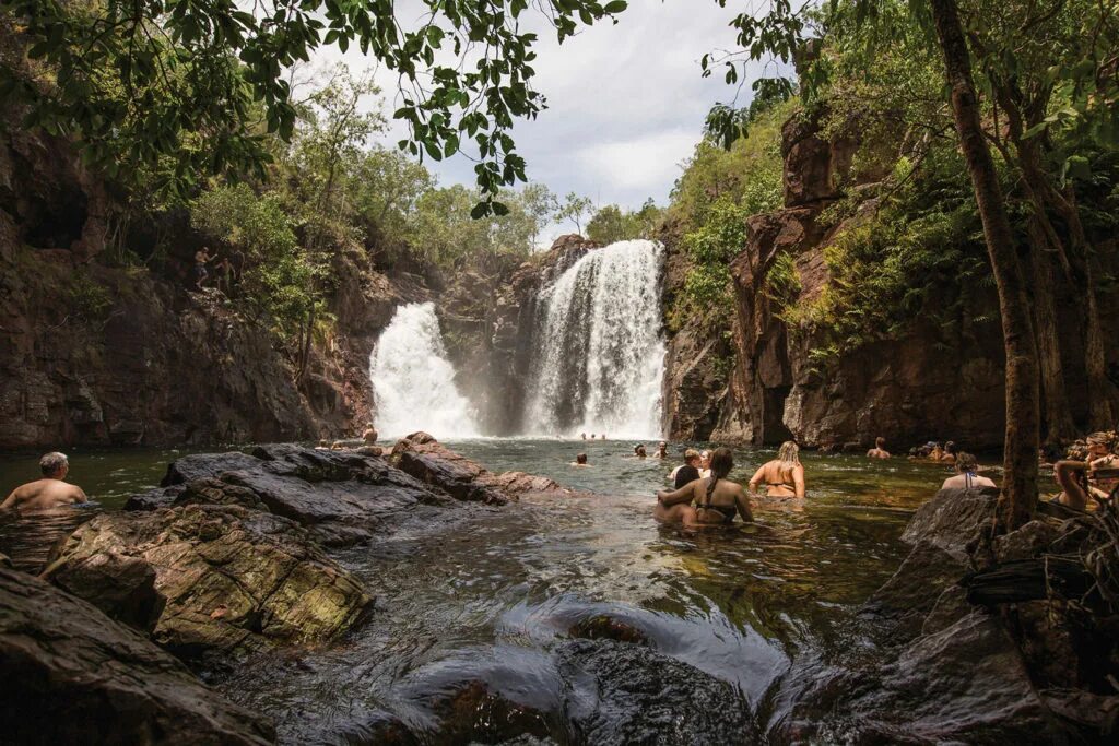 Darwin cascade