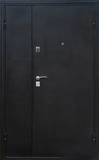 Дверь металлическая 220