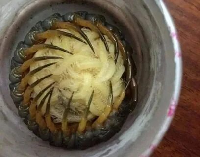 Сделать странные звуки