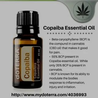 Copaiba