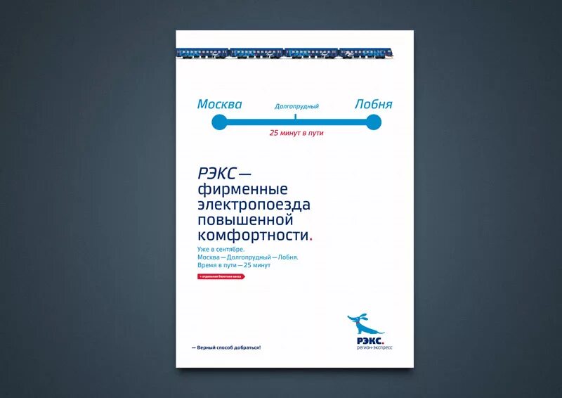 Рэкс экспресс. Рэкс экспресс салон. Рэкс билеты. Рэкс экспресс эмблема. Электричка экспресс рекс.