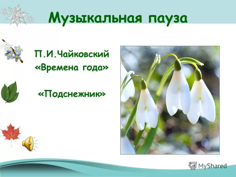 чайковский " апрель". чайковский времена года апрель подснежник. чайковский апрель картина. чайковский. произведение апрель подснежник.