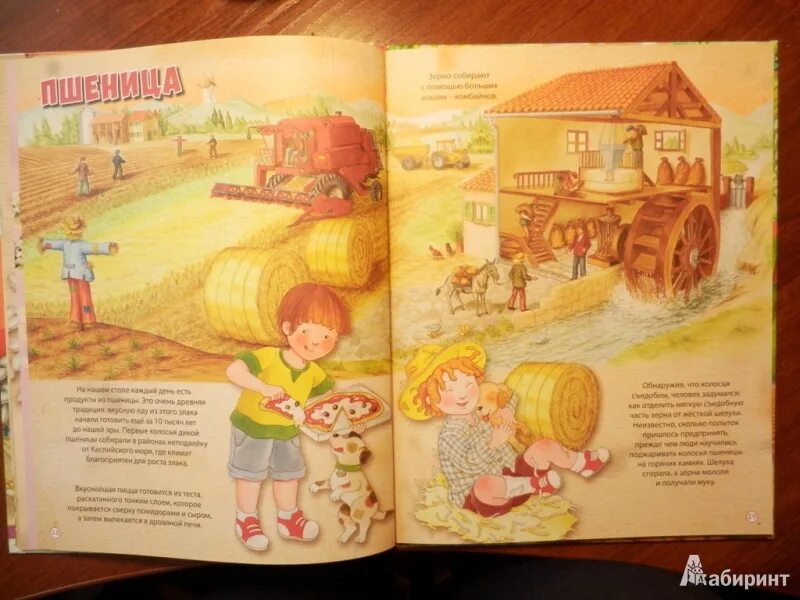 Необыкновенная история обыкновенных вещей. Придумать необыкновенную историю об обычных вещах. Придумать необычную историю. Необыкновенная история обыкновенных вещей. Необычная история с обычными вещами.