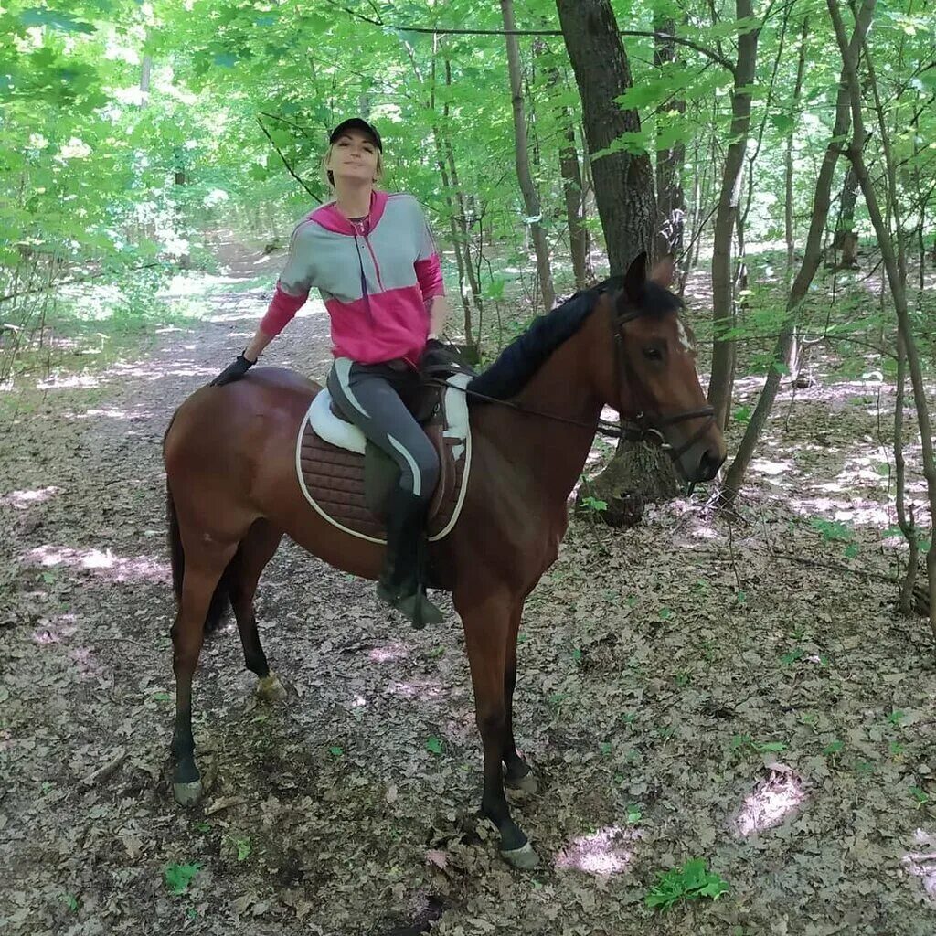 конный клуб самара. кск буденовец самара. конный клуб банное. конный клуб самара. лесные прогулки на лошадях.