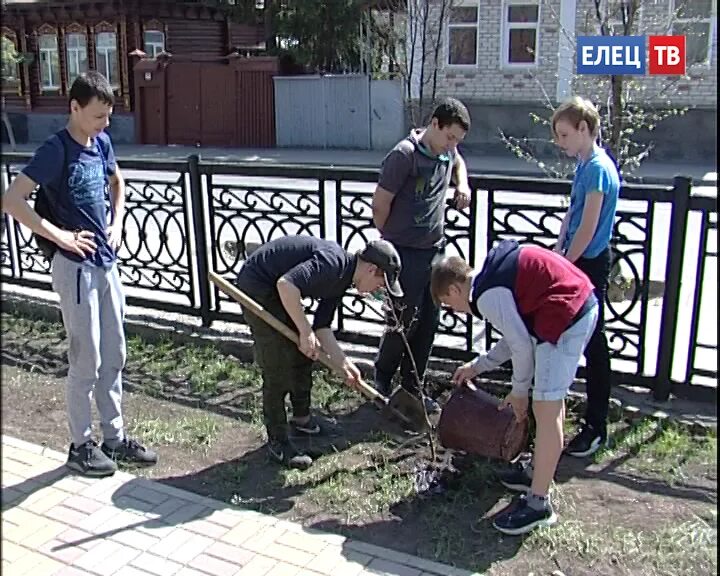Школа за что посадили. Школа за что посадили. Школа за что посадили. Школа за что посадили. Школа за что посадили.