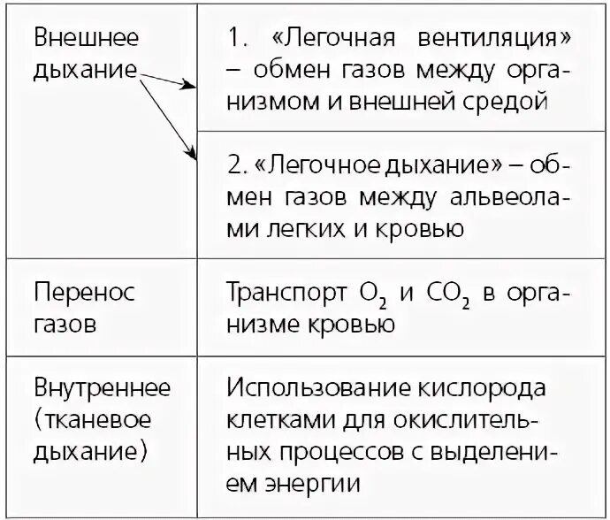 Легкие таблица 8 класс. Легочное дыхание таблица. этапы дыхания легочные объемы таблица. осуществление процесса дыхания таблица. легочное дыхание и тканевое дыхание таблица.