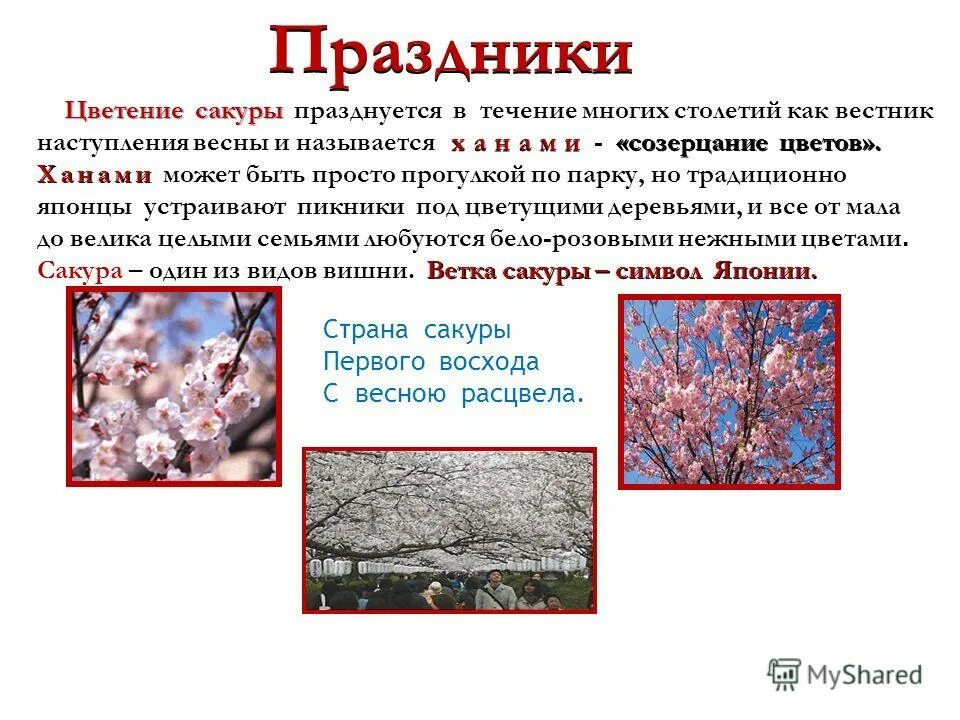Что значит расцвел. Что значит расцвел