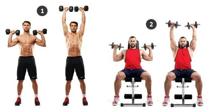 Жим арнольда стоя. Жим вверх с гантелями стоя. Армейский жим гантелей стоя. Армейский жим гантелями стоя. Подъем гантелей над головой.