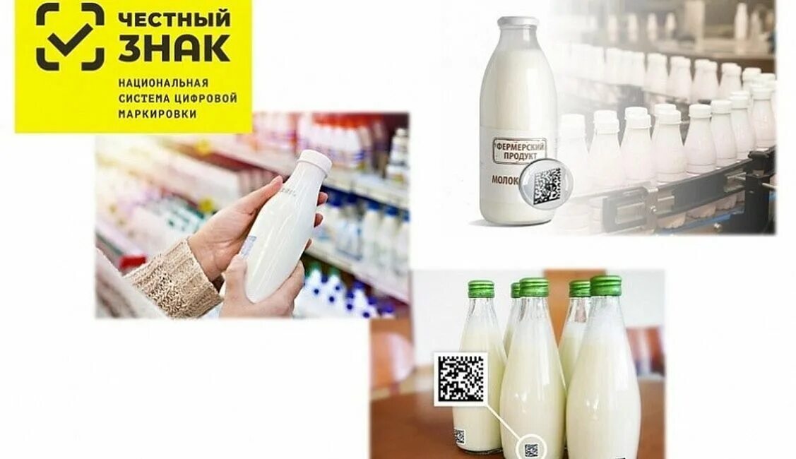 С 1 декабря маркировка молочной. Маркировка честный знак молочная продукция. маркировка молочной продукции четный знак. маркировка молочной пролукци. о маркировке молочной продукции средствами идентификации.