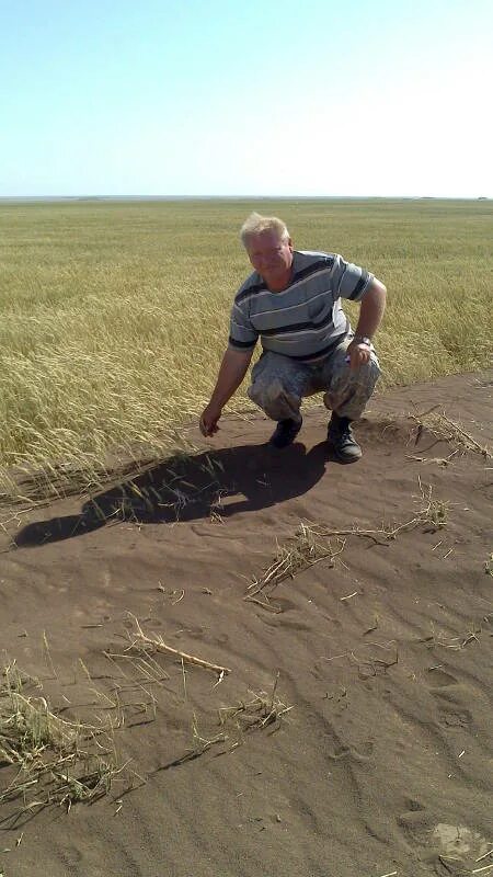 Погода в рагулях апанасенковский край