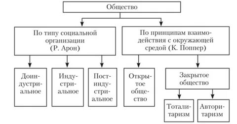 Заполните схему виды общества
