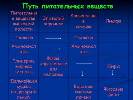 Всасывание биология 8 класс