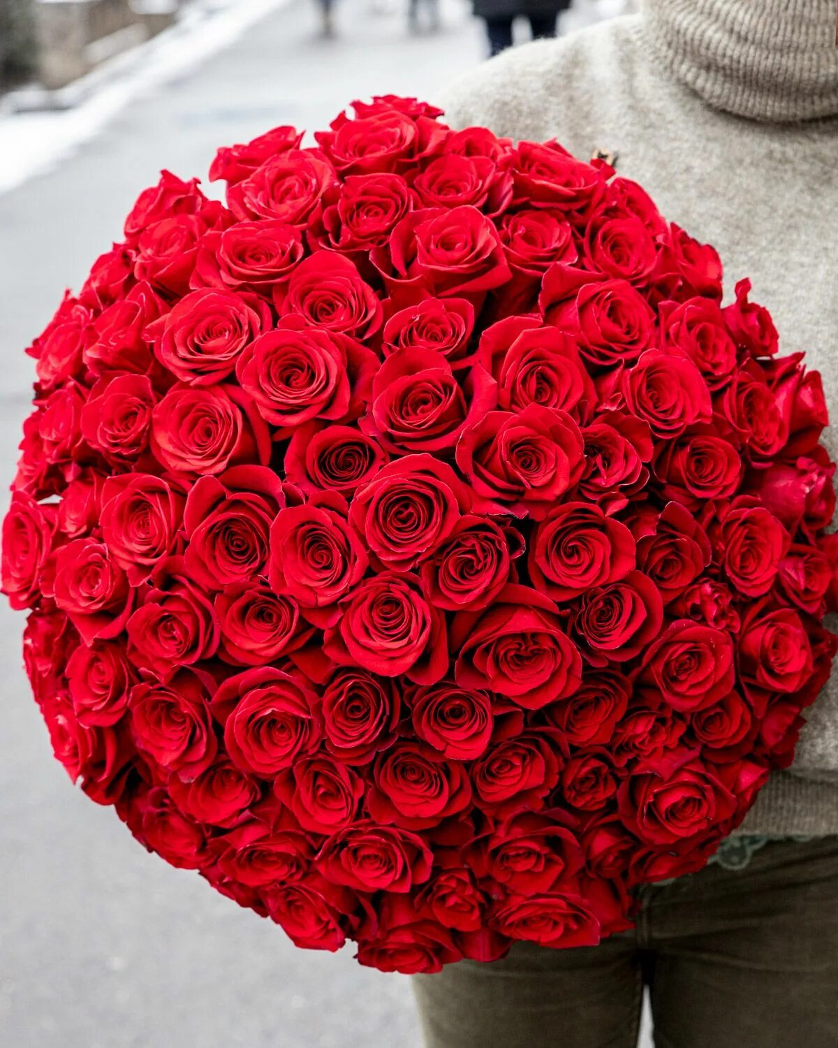 розы шампань 101. 101 роща. 101 роща. большой букет красных роз. букет роз.